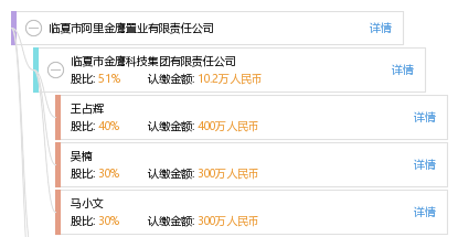 临夏市阿里金鹰置业有限责任公司